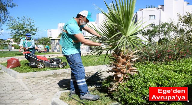 KUŞADASI PARKLARINDA BAHAR TEMİZLİĞİ