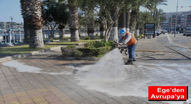 PANDEMİYE KARŞI DOĞA DOSTU TEMİZLİK