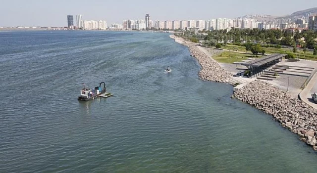 Bostanlı’daki deniz marulu temizliği tamamlandı