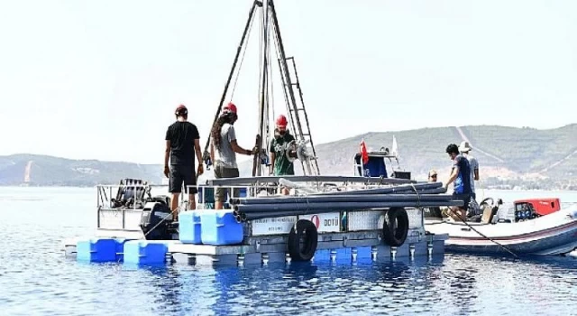 İzmir Körfezi’ndeki faylar mercek altında